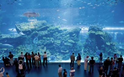 Acuario de Veracruz - atractivo de mexico