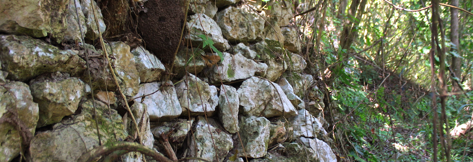 Panhalé zona arqueologica en tabasco
