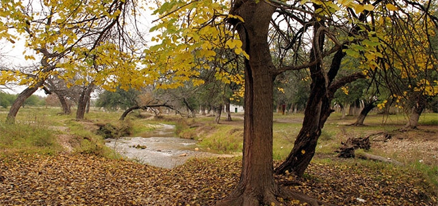 Parque Nacional Los Novillos