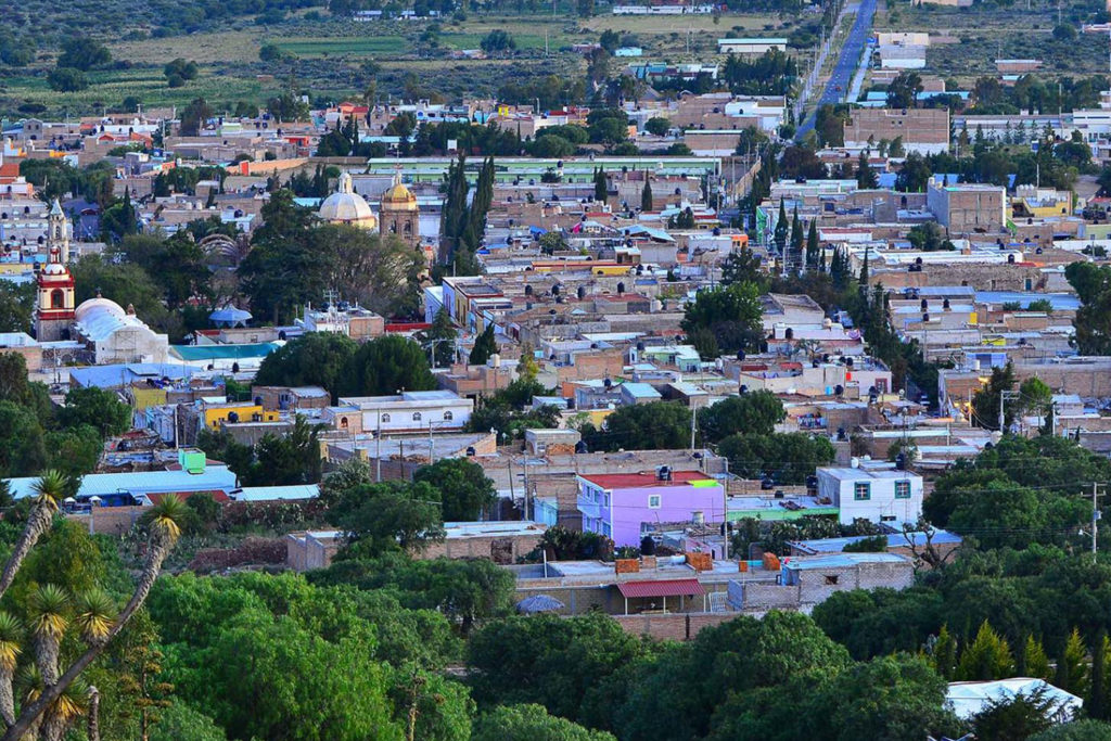 Pinos