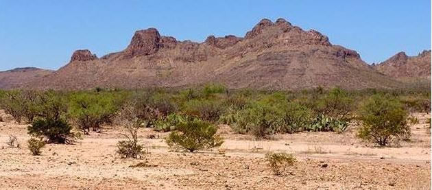Reserva de la Biosfera Mapimi Coahuila