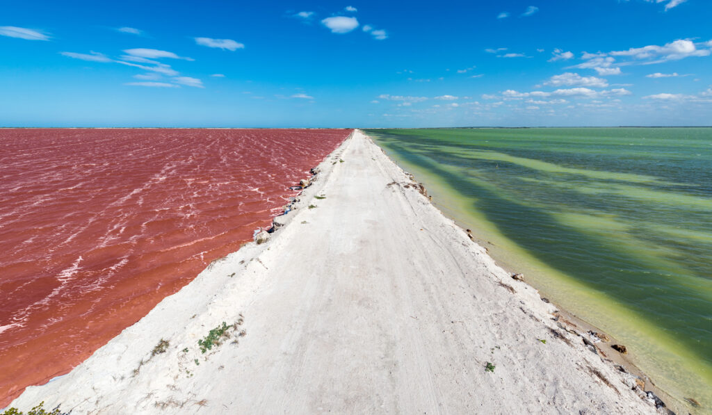 Rio Lagartos lugar turistico de yucatan