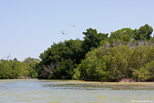 rio lagartos atractivo de yucatan