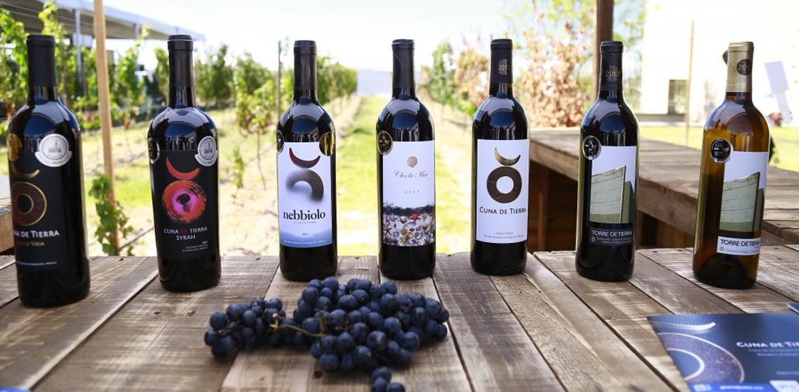 vino gastronomia de Guanajuarto
