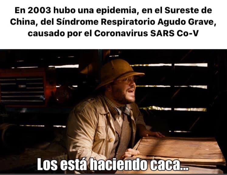 coronavirus historia