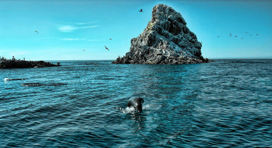 Cañón de las Barajitas