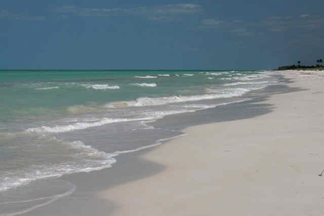 El cuyo Playas de Yucatan