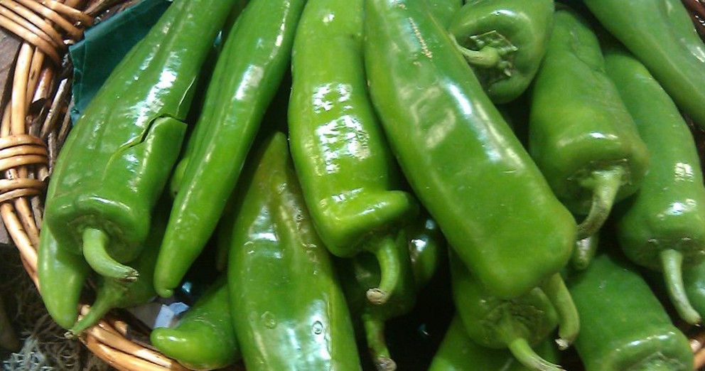 Chile Chicala de Chihuahua