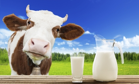 Leche de vaca