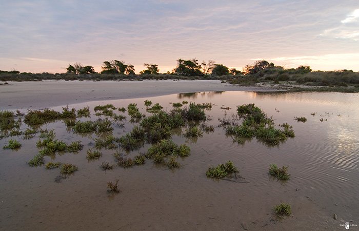 Salinas de San Pedro del Pinatar - Murcia