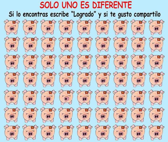 ejercicio gimnacio visual