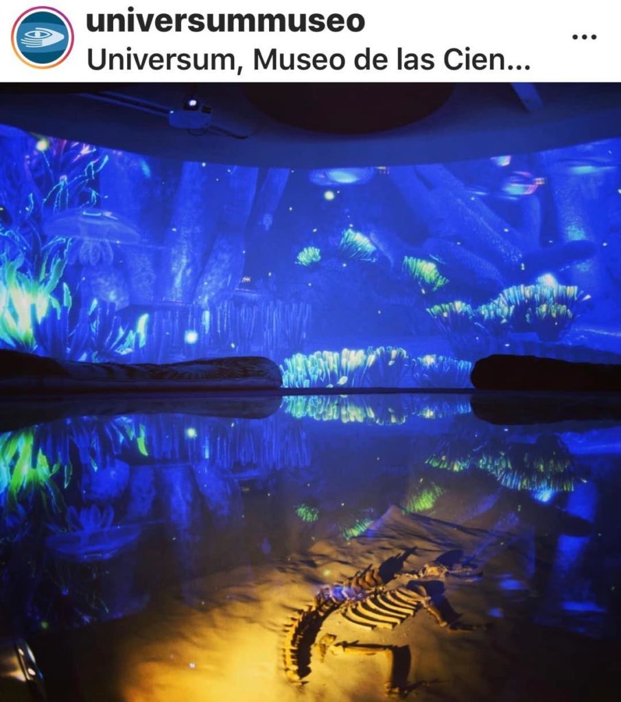 museo de ballena la Paz Mexico