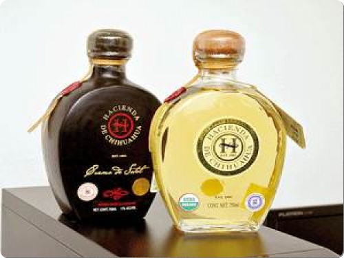 sotol gastronomia de chihuahua