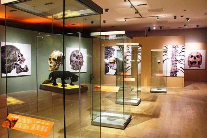 museo maya cancun
