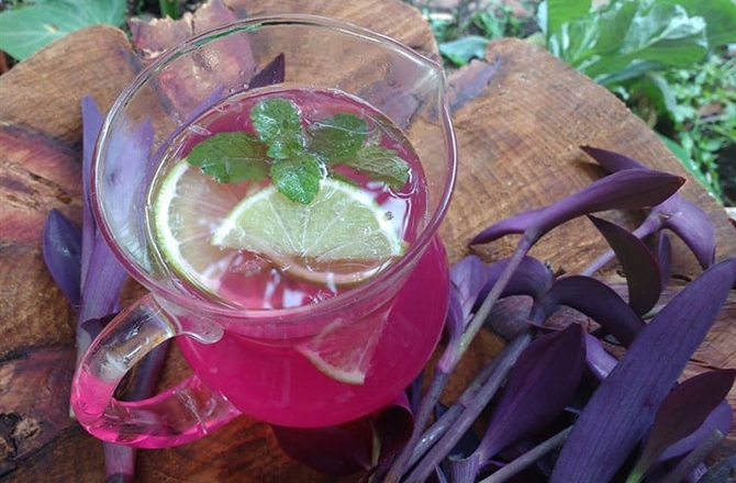 Agua de matalí bebida de tabasco