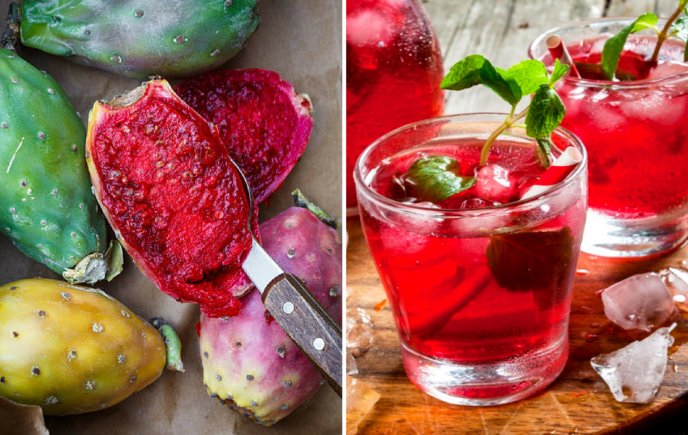 Colonche bebida alcoholica de guanajuato