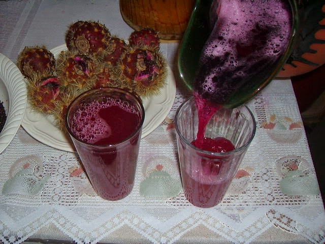 Nochocle bebida tipica de San Luis Potosi