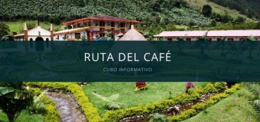Ruta del café