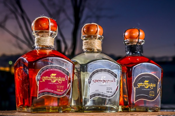 Sotol bebida tradicional de coahuila