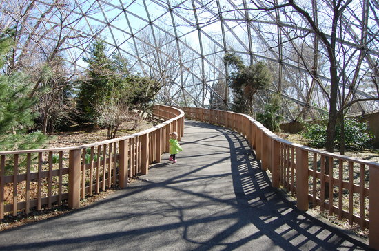Zoológico de Queens que ver y haccer en nueva york