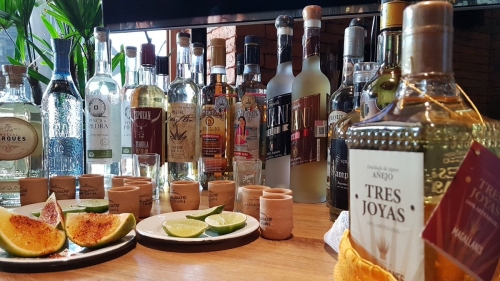 pulque y mezcal bebidas tipicas de guanajuato