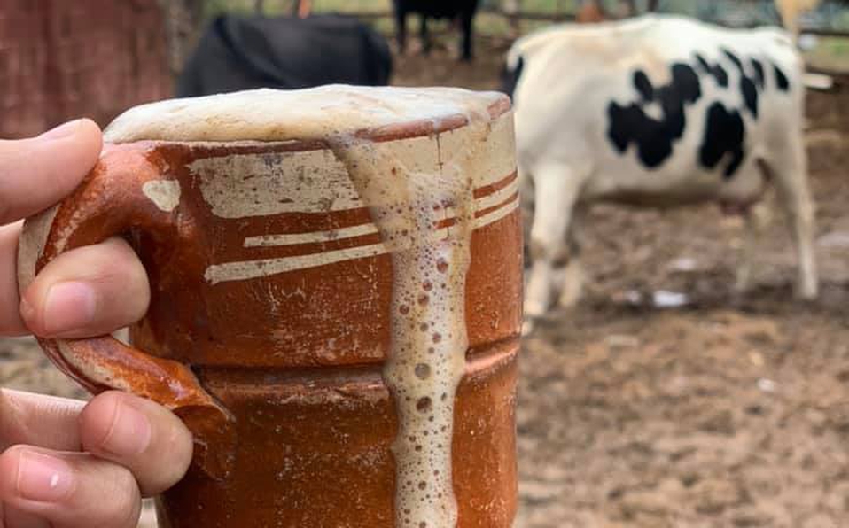 Pajarete bebida tradiconal de colima