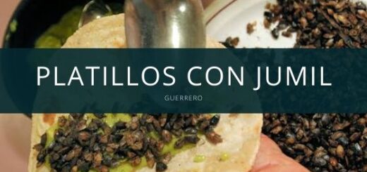 Platillos con jumil