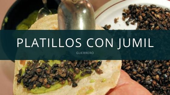 Platillos con jumil