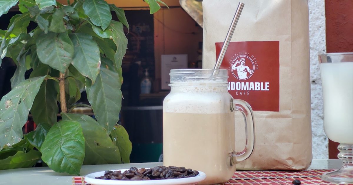 Pulque bebida tlaxcala