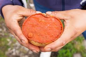 Tepache con espuma Roja