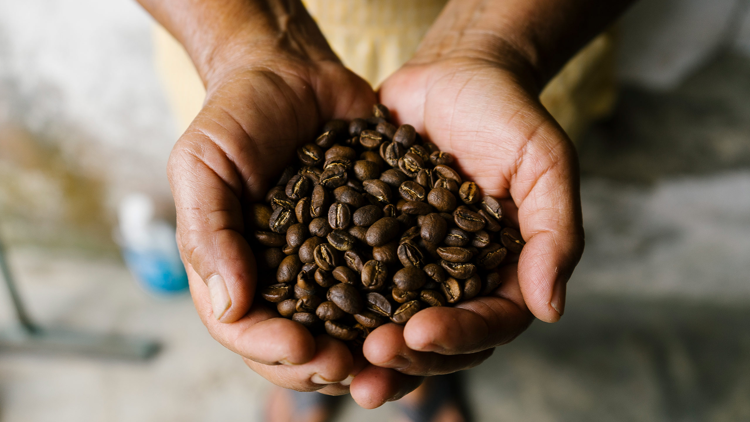 cafe de chiapas bebidas mexicanas