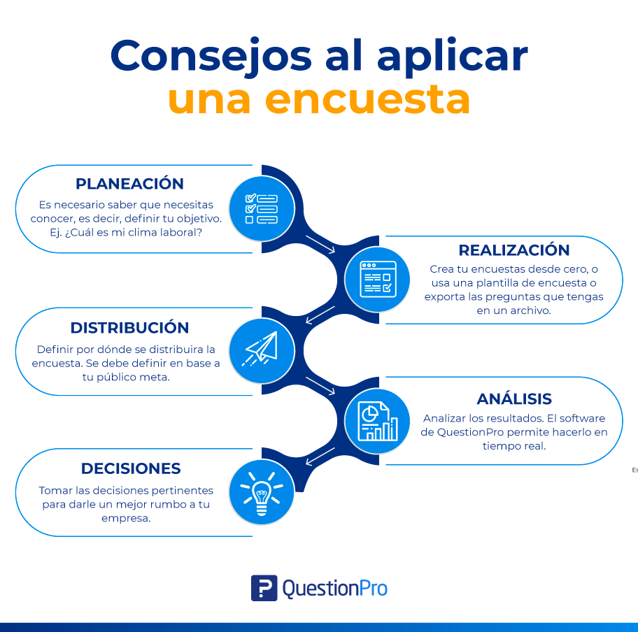 como se organiza una encuesta