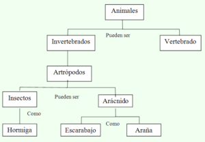 mapa conceptual forma jerarquica tipos de mapas conceptuales
