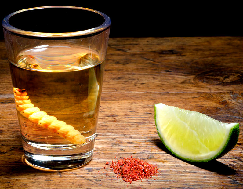 tequila bebidas mexicanas