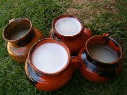 pulque-bahuas-bebidas