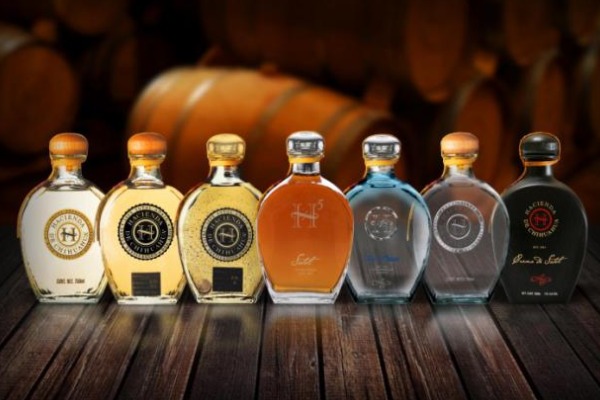 sotol mexico