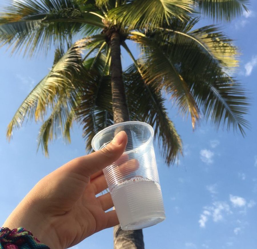 tuba bebida tipica de colima