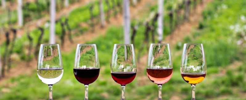 vinos de ensenada para acompañar la gastronomia de baja california