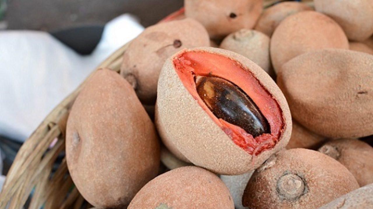 zapote-nahuas-alimentacion