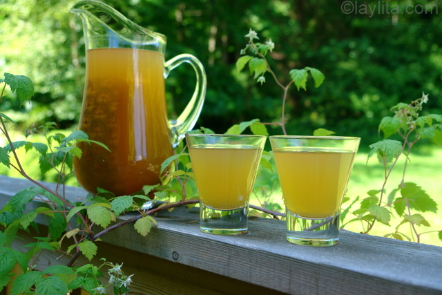 Chicha bebida argentina