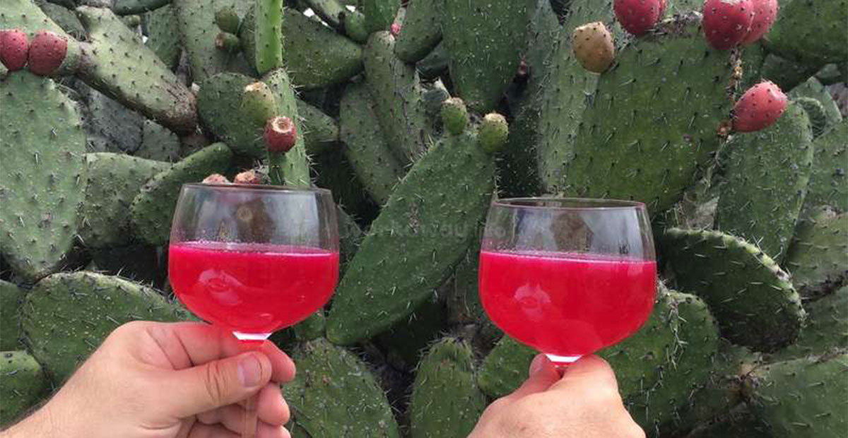 Colonche bebida zacatecana