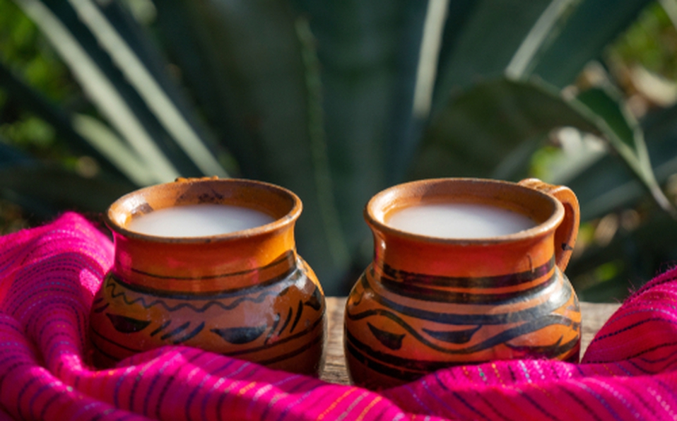 Pulque bebida zacatecana