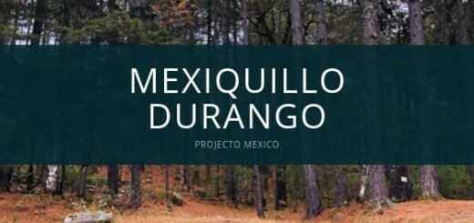 Mexiquillo Durango