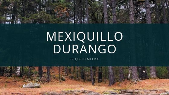 Mexiquillo Durango