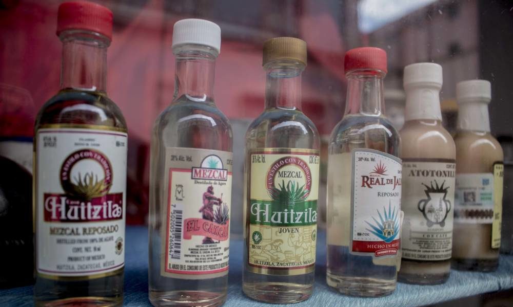 mezcal de zacatecas