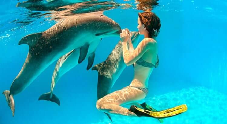 nado con delfines en cancun