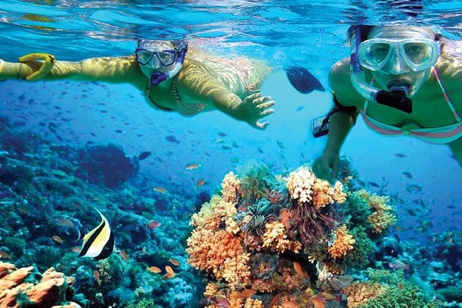 que hacer y ver en playa del carmen