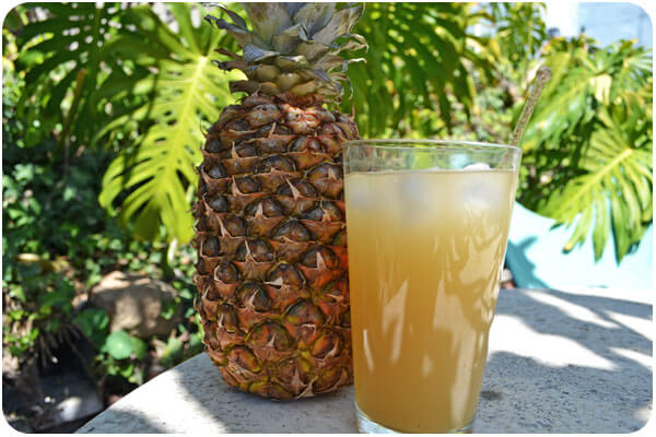 tepache bebida zacatecas