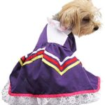 vestido de jalisco para mascotas