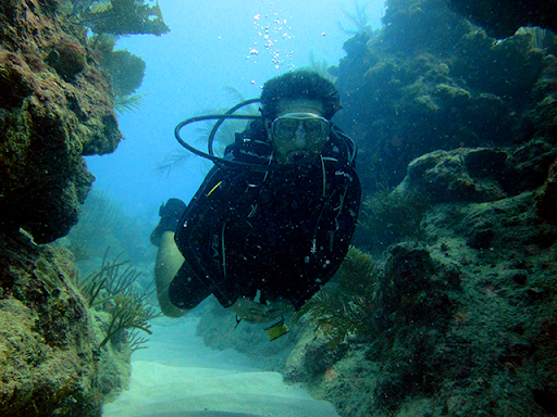 Buceo puerto morelos que ver y hacer